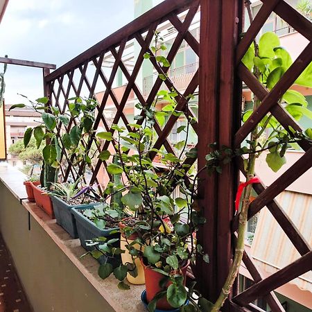 丽都迪奥斯蒂亚Euforbia House公寓 外观 照片